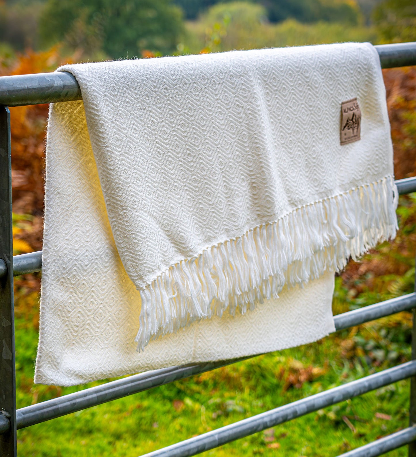 BLANKET