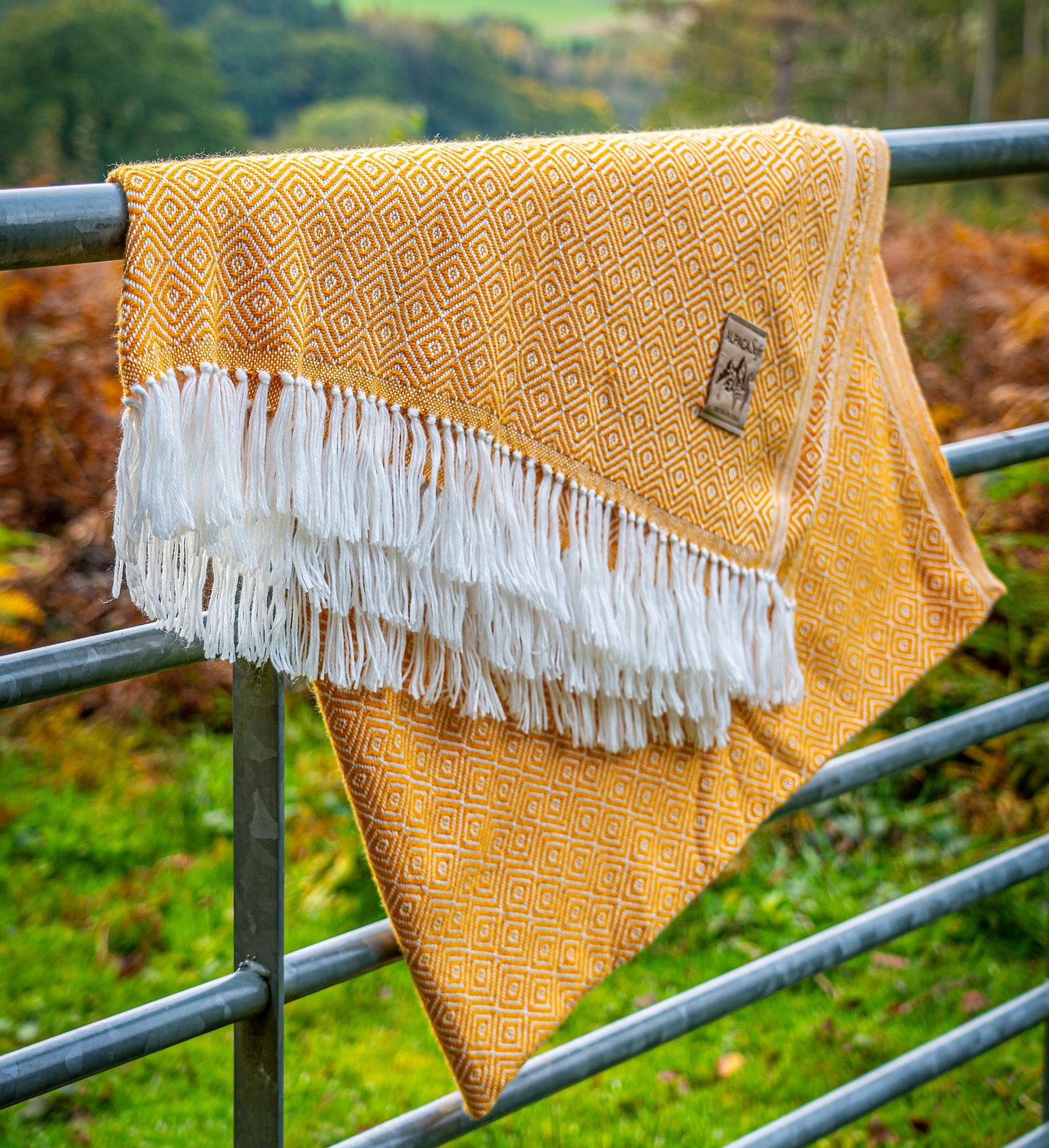 BLANKET