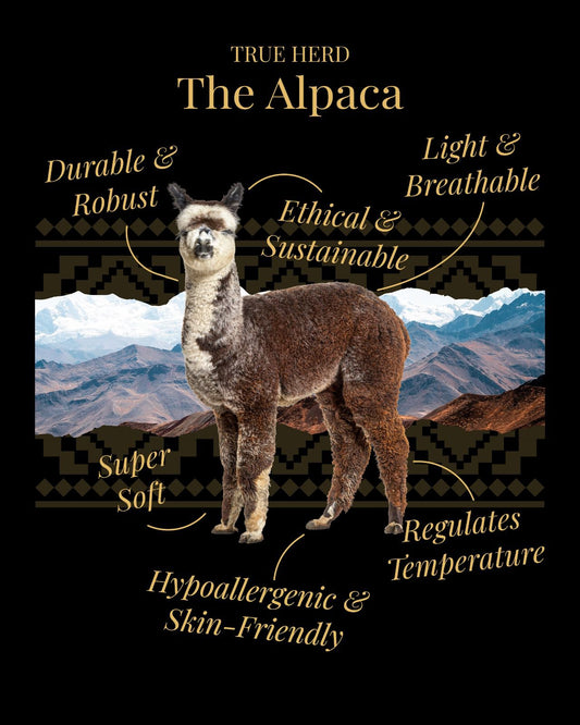 Why Alpaca Wool Is One of the Most Sustainable Fabrics You Can Choose